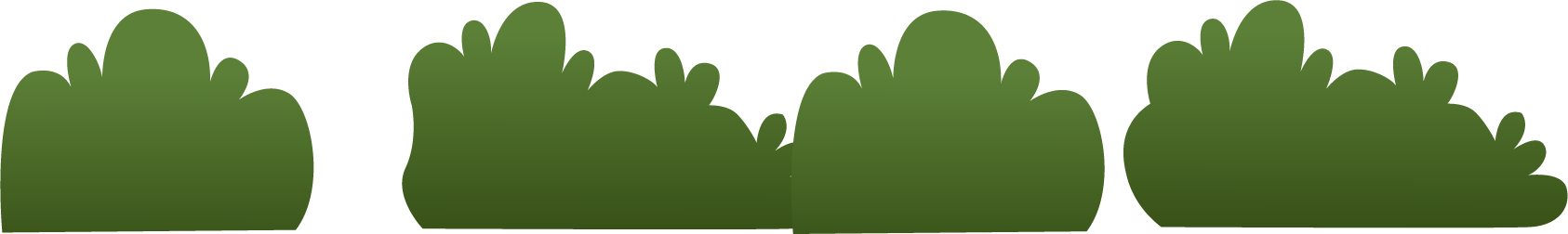 Bush